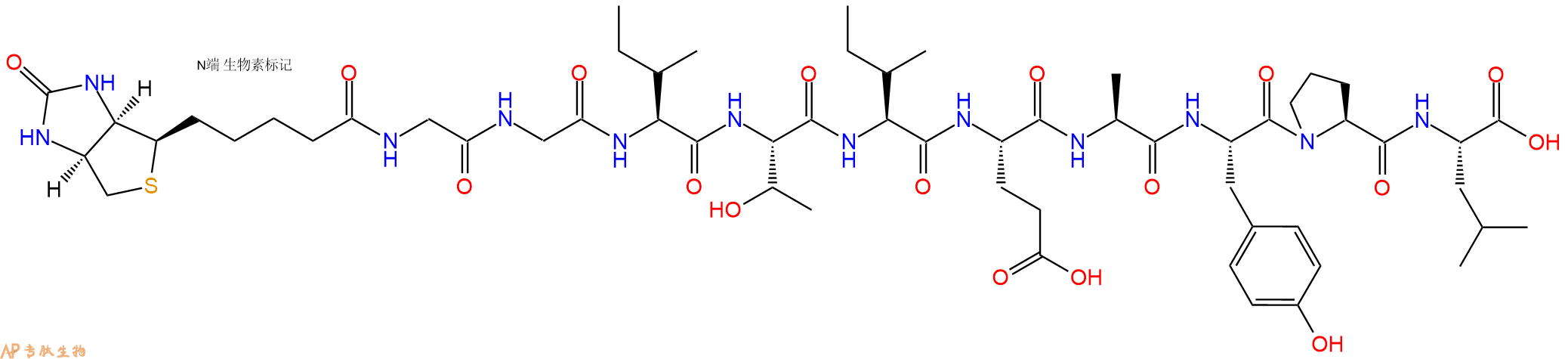 专肽生物产品Biotinyl-Gly-Gly-Ile-Thr-Ile-Glu-Ala-Tyr-Pro-Leu-OH