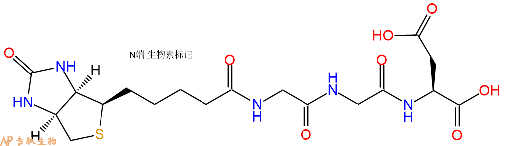 专肽生物产品Biotinyl-Gly-Gly-Asp-OH