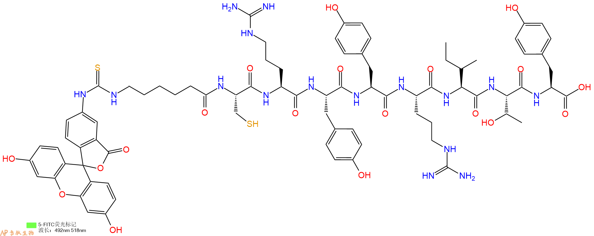 专肽生物产品5FITC-Ahx-Cys-Arg-Tyr-Tyr-Arg-Ile-Thr-Tyr-OH