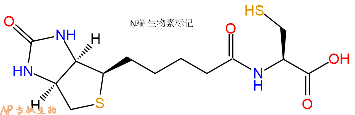 专肽生物产品Biotinyl-Cys-OH