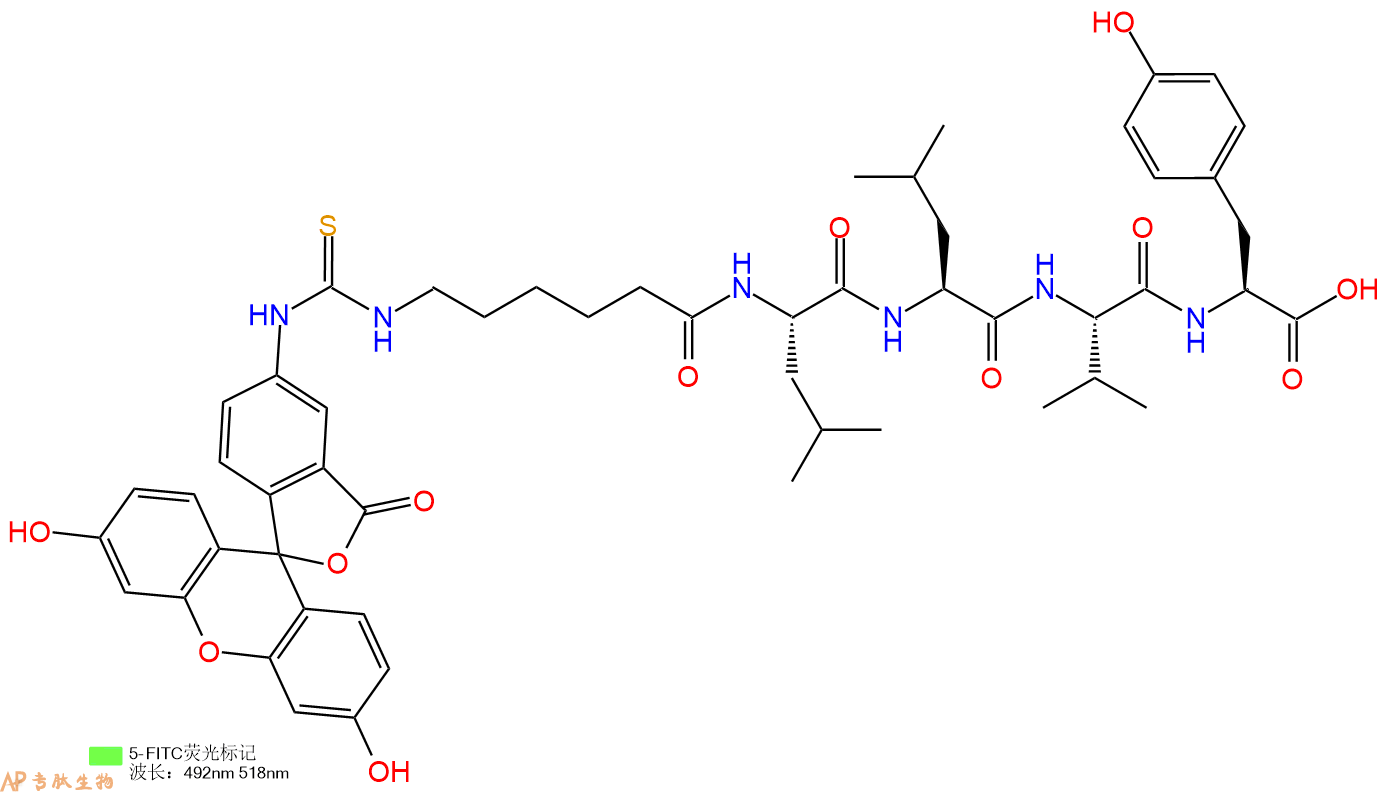 专肽生物产品5FITC-Ahx-Leu-Leu-Val-Tyr-OH