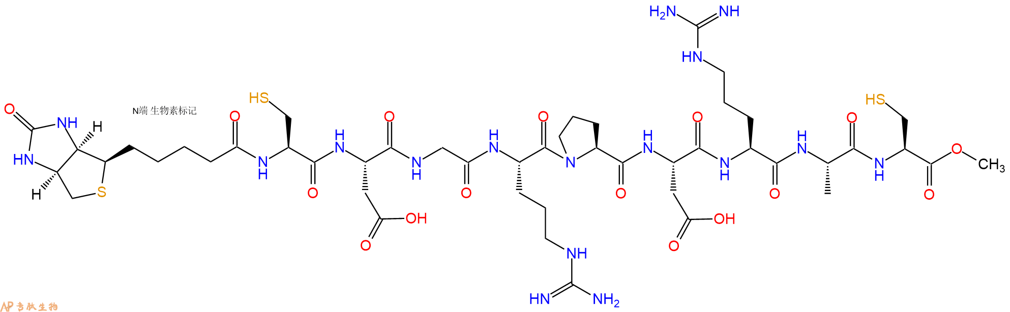 专肽生物产品Biotinyl-Cys-Asp-Gly-Arg-Pro-Asp-Arg-Ala-Cys-OMe