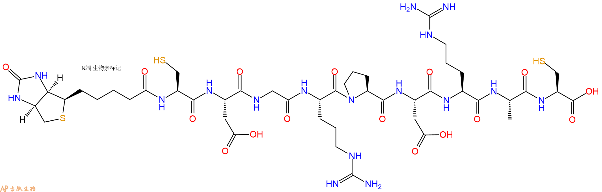 专肽生物产品Biotinyl-Cys-Asp-Gly-Arg-Pro-Asp-Arg-Ala-Cys-OH