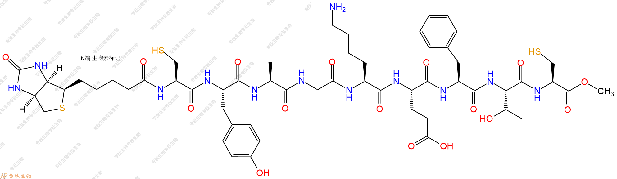 专肽生物产品Biotinyl-Cys-Tyr-Ala-Gly-Lys-Glu-Phe-Thr-Cys-OMe