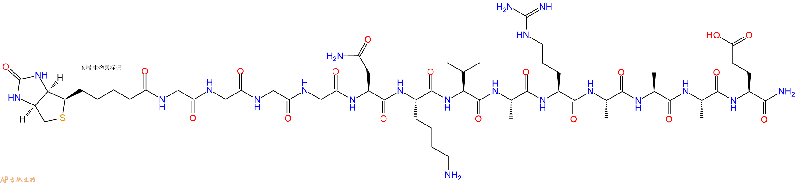 专肽生物产品Biotinyl-Gly-Gly-Gly-Gly-Asn-Lys-Val-Ala-Arg-Ala-Ala-Ala-Glu-NH2