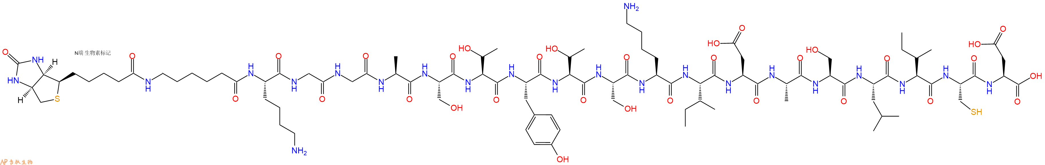 专肽生物产品Biotinyl-Ahx-Lys-Gly-Gly-Ala-Ser-Thr-Tyr-Thr-Ser-Lys-Ile-Asp-Ala-Ser-Leu-Ile-Cys-Asp-OH