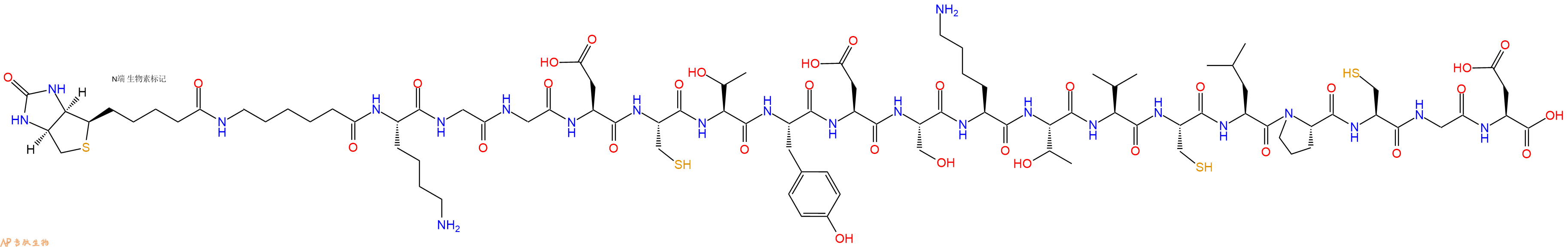 专肽生物产品Biotinyl-Ahx-Lys-Gly-Gly-Asp-Cys-Thr-Tyr-Asp-Ser-Lys-Thr-Val-Cys-Leu-Pro-Cys-Gly-Asp-OH