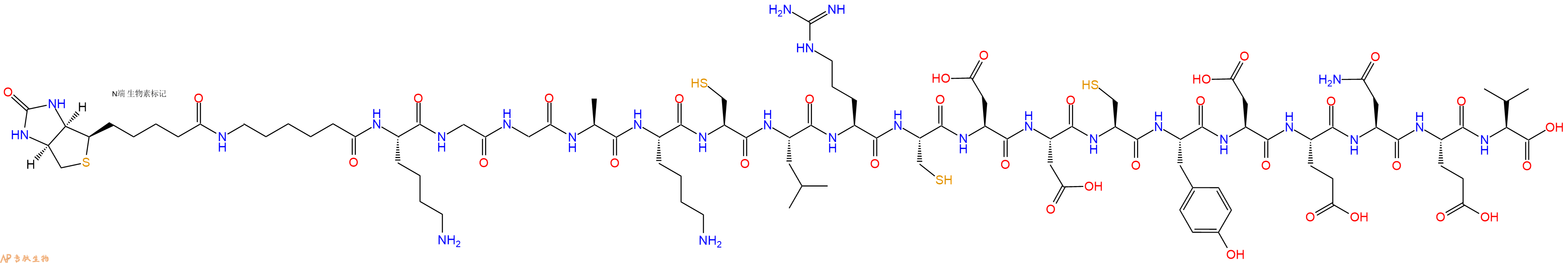 专肽生物产品Biotinyl-Ahx-Lys-Gly-Gly-Ala-Lys-Cys-Leu-Arg-Cys-Asp-Asp-Cys-Tyr-Asp-Glu-Asn-Glu-Val-OH