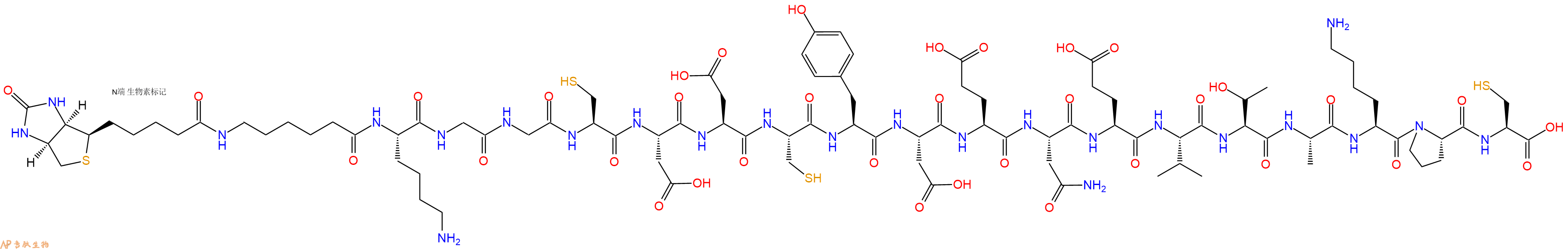 专肽生物产品Biotinyl-Ahx-Lys-Gly-Gly-Cys-Asp-Asp-Cys-Tyr-Asp-Glu-Asn-Glu-Val-Thr-Ala-Lys-Pro-Cys-OH