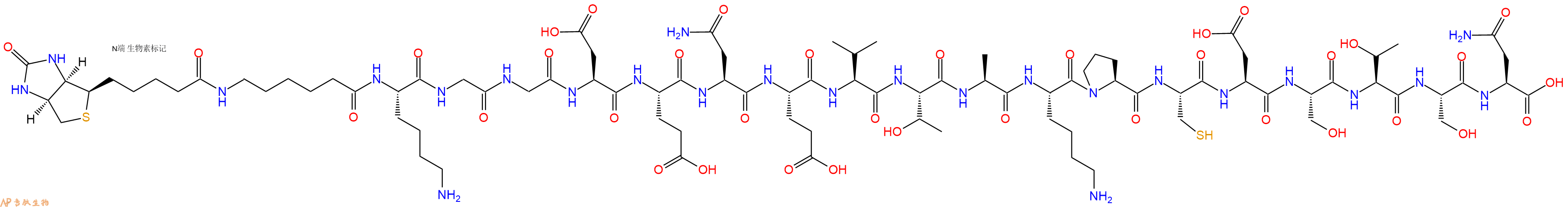 专肽生物产品Biotinyl-Ahx-Lys-Gly-Gly-Asp-Glu-Asn-Glu-Val-Thr-Ala-Lys-Pro-Cys-Asp-Ser-Thr-Ser-Asn-OH