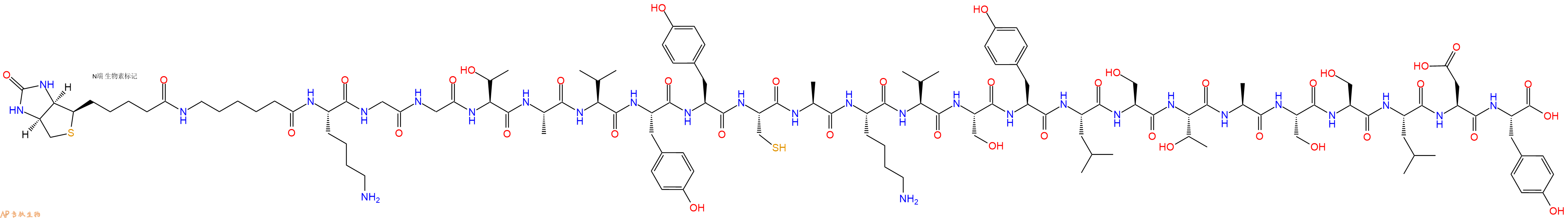 专肽生物产品Biotinyl-Ahx-Lys-Gly-Gly-Thr-Ala-Val-Tyr-Tyr-Cys-Ala-Lys-Val-Ser-Tyr-Leu-Ser-Thr-Ala-Ser-Ser-Leu-Asp-Tyr-OH