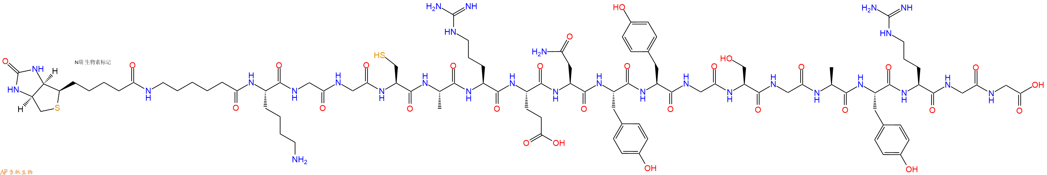 专肽生物产品Biotinyl-Ahx-Lys-Gly-Gly-Cys-Ala-Arg-Glu-Asn-Tyr-Tyr-Gly-Ser-Gly-Ala-Tyr-Arg-Gly-Gly-OH