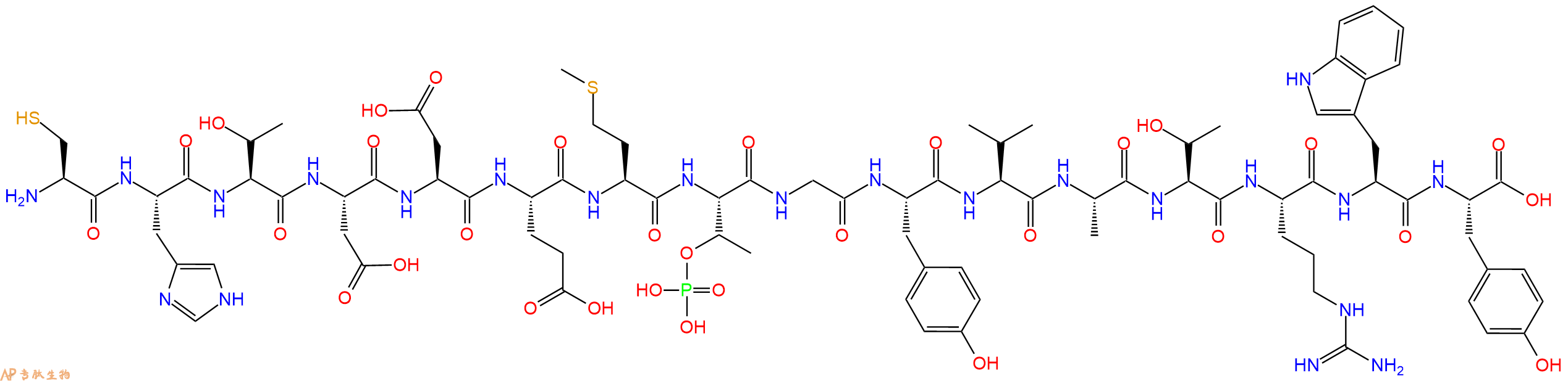 专肽生物产品H2N-Cys-His-Thr-Asp-Asp-Glu-Met-pThr-Gly-Tyr-Val-Ala-Thr-Arg-Trp-Tyr-OH