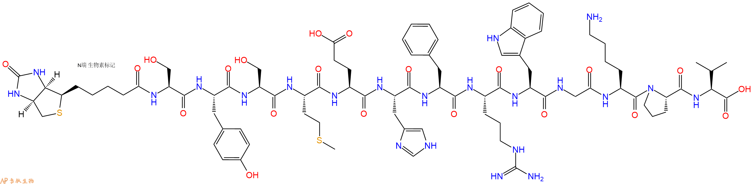 专肽生物产品Biotinyl-Ser-Tyr-Ser-Met-Glu-His-Phe-Arg-Trp-Gly-Lys-Pro-Val-OH