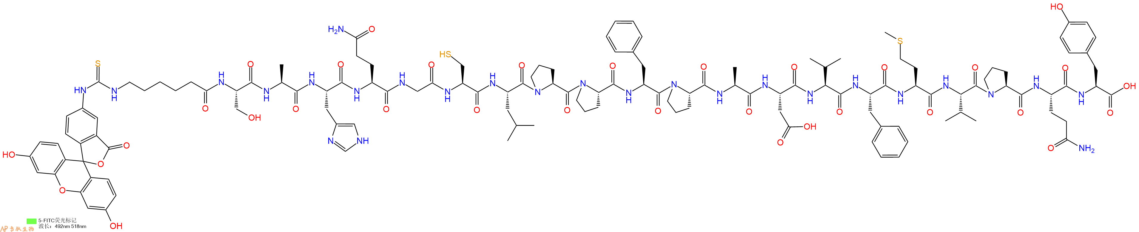 专肽生物产品5FITC-Ahx-Ser-Ala-His-Gln-Gly-Cys-Leu-Pro-Pro-Phe-Pro-Ala-Asp-Val-Phe-Met-Val-Pro-Gln-Tyr-OH