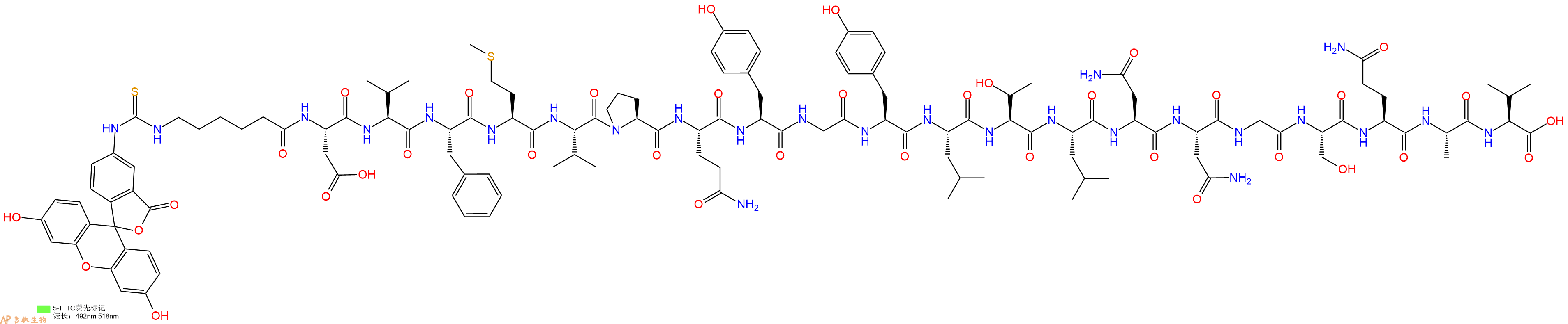 专肽生物产品5FITC-Ahx-Asp-Val-Phe-Met-Val-Pro-Gln-Tyr-Gly-Tyr-Leu-Thr-Leu-Asn-Asn-Gly-Ser-Gln-Ala-Val-OH