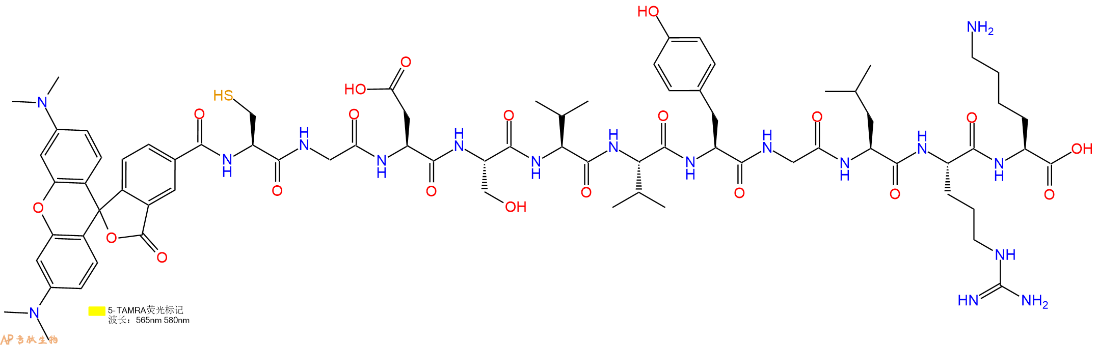 专肽生物产品5TAMRA-Cys-Gly-Asp-Ser-Val-Val-Tyr-Gly-Leu-Arg-Lys-OH