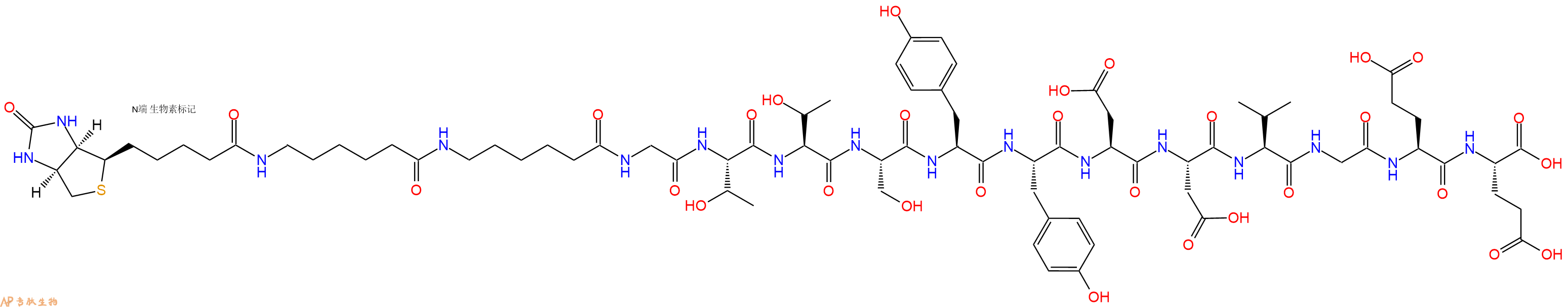 专肽生物产品Biotinyl-Ahx-Ahx-Gly-Thr-Thr-Ser-Tyr-Tyr-Asp-Asp-Val-Gly-Glu-Glu-OH