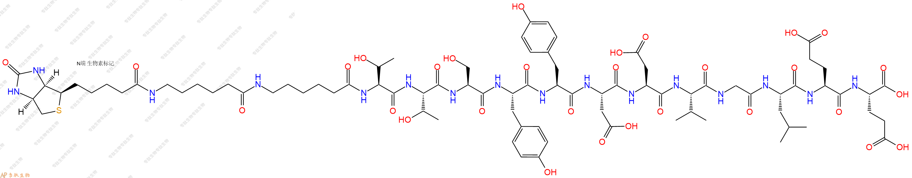 专肽生物产品Biotinyl-Ahx-Ahx-Thr-Thr-Ser-Tyr-Tyr-Asp-Asp-Val-Gly-Leu-Glu-Glu-OH