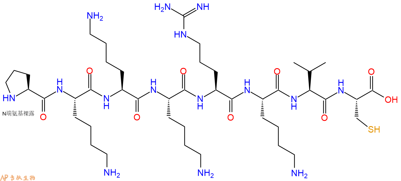 专肽生物产品H2N-Pro-Lys-Lys-Lys-Arg-Lys-Val-Cys-OH
