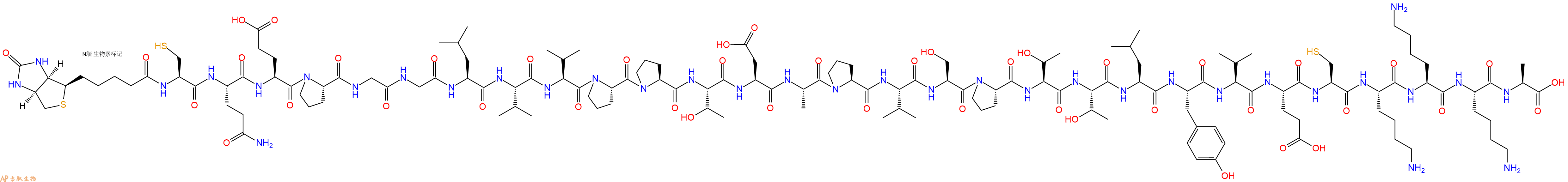专肽生物产品Biotinyl-Cys-Gln-Glu-Pro-Gly-Gly-Leu-Val-Val-Pro-Pro-Thr-Asp-Ala-Pro-Val-Ser-Pro-Thr-Thr-Leu-Tyr-Val-Glu-Cys-Lys-Lys-Lys-Ala-OH