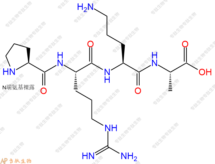 专肽生物产品H2N-Pro-Arg-Orn-Ala-OH