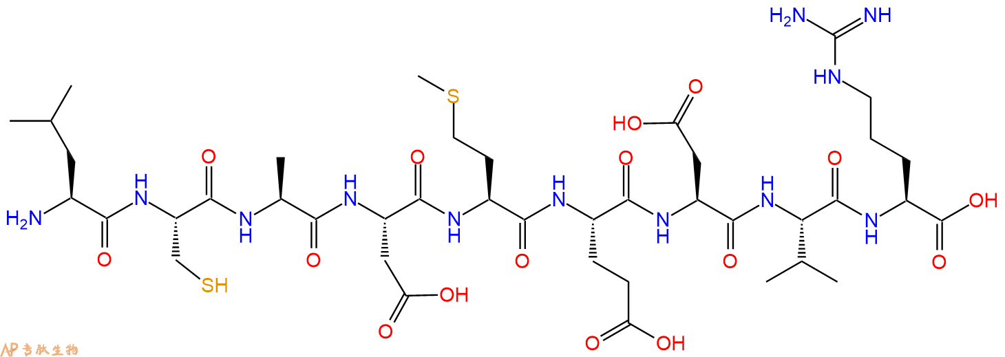 专肽生物产品H2N-Leu-Cys-Ala-Asp-Met-Glu-Asp-Val-Arg-OH