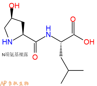 专肽生物产品H2N-Hyp-Leu-OH