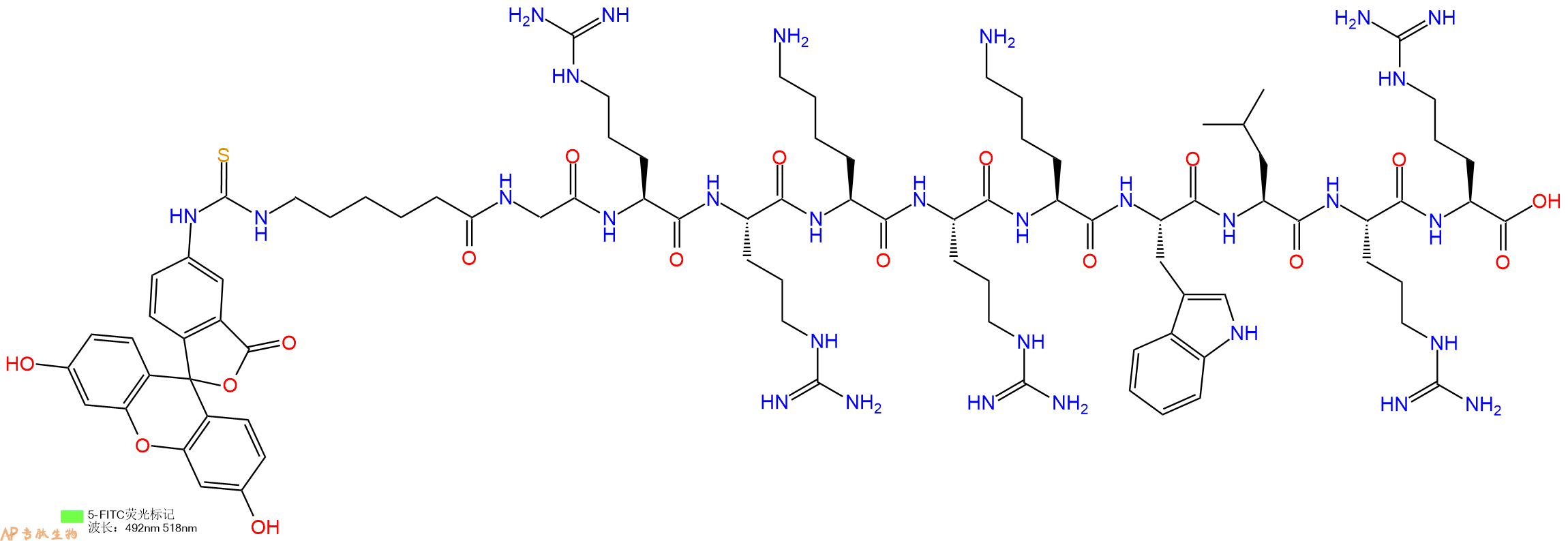 专肽生物产品5FITC-Ahx-Gly-Arg-Arg-Lys-Arg-Lys-Trp-Leu-Arg-Arg-OH