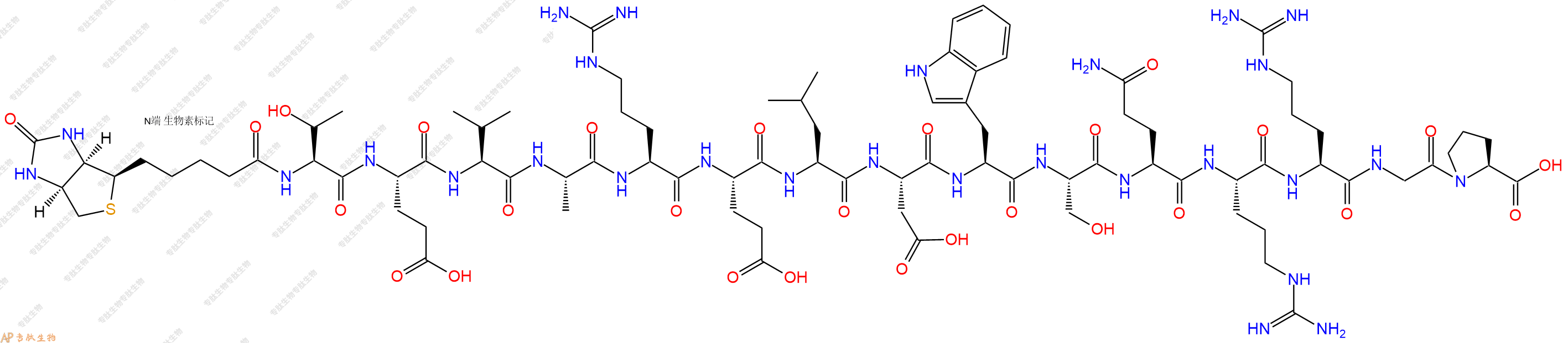 专肽生物产品Biotinyl-Thr-Glu-Val-Ala-Arg-Glu-Leu-Asp-Trp-Ser-Gln-Arg-Arg-Gly-Pro-OH