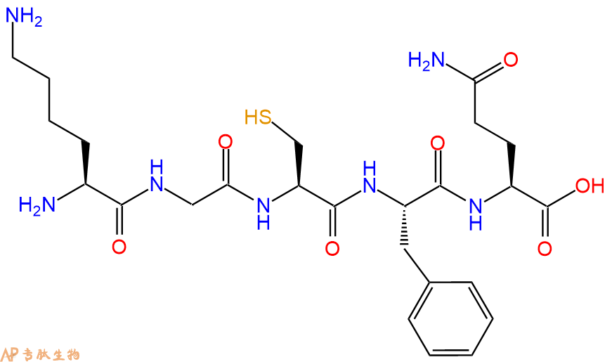 专肽生物产品H2N-Lys-Gly-Cys-Phe-Gln-OH