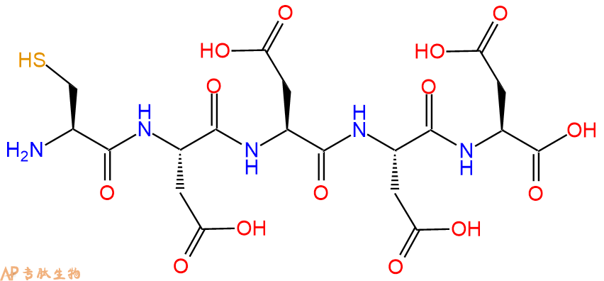 专肽生物产品H2N-Cys-Asp-Asp-Asp-Asp-OH