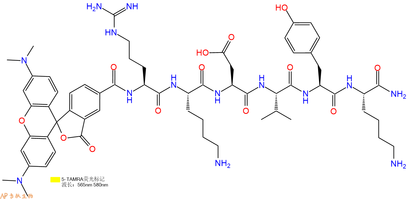 专肽生物产品5TAMRA-Arg-Lys-Asp-Val-Tyr-Lys-NH2