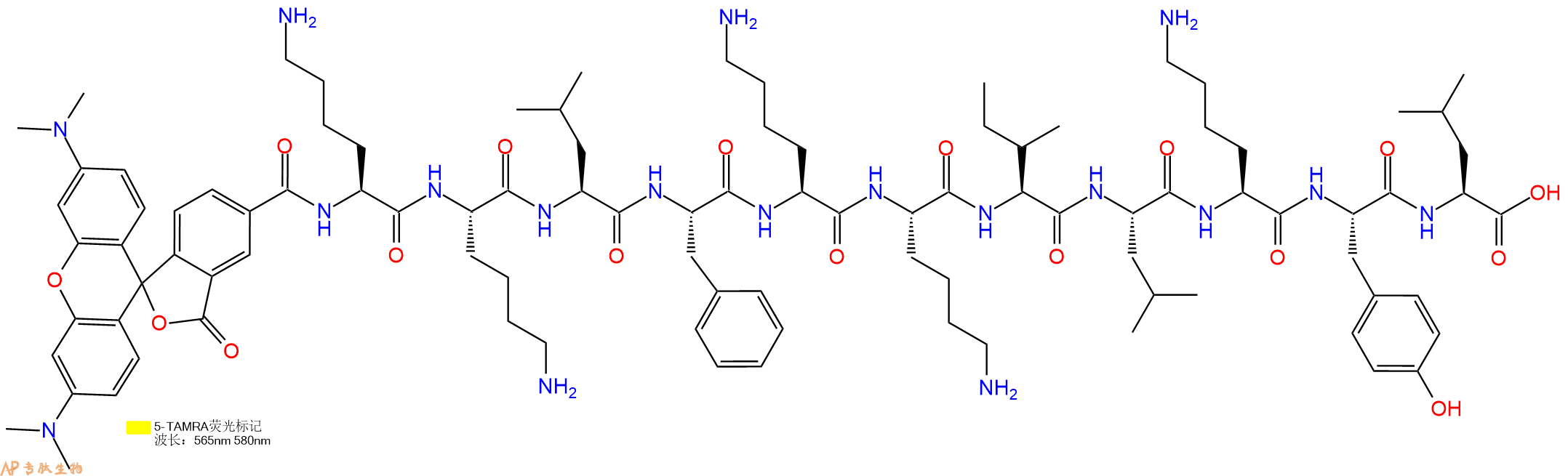 专肽生物产品5TAMRA-Lys-Lys-Leu-Phe-Lys-Lys-Ile-Leu-Lys-Tyr-Leu-OH