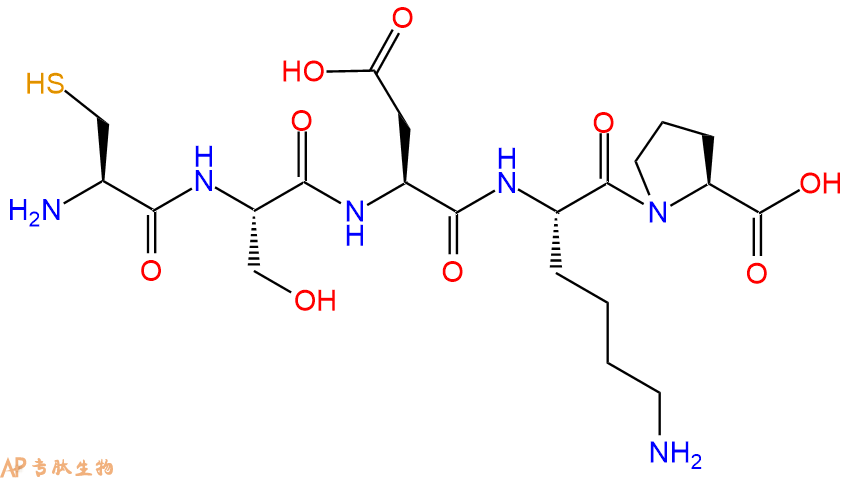 专肽生物产品H2N-Cys-Ser-Asp-Lys-Pro-OH