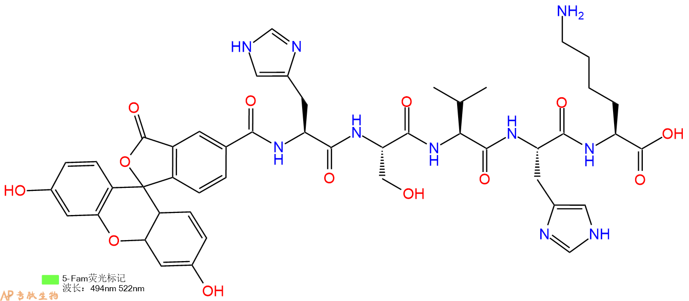 专肽生物产品5FAM-His-Ser-Val-His-Lys-OH