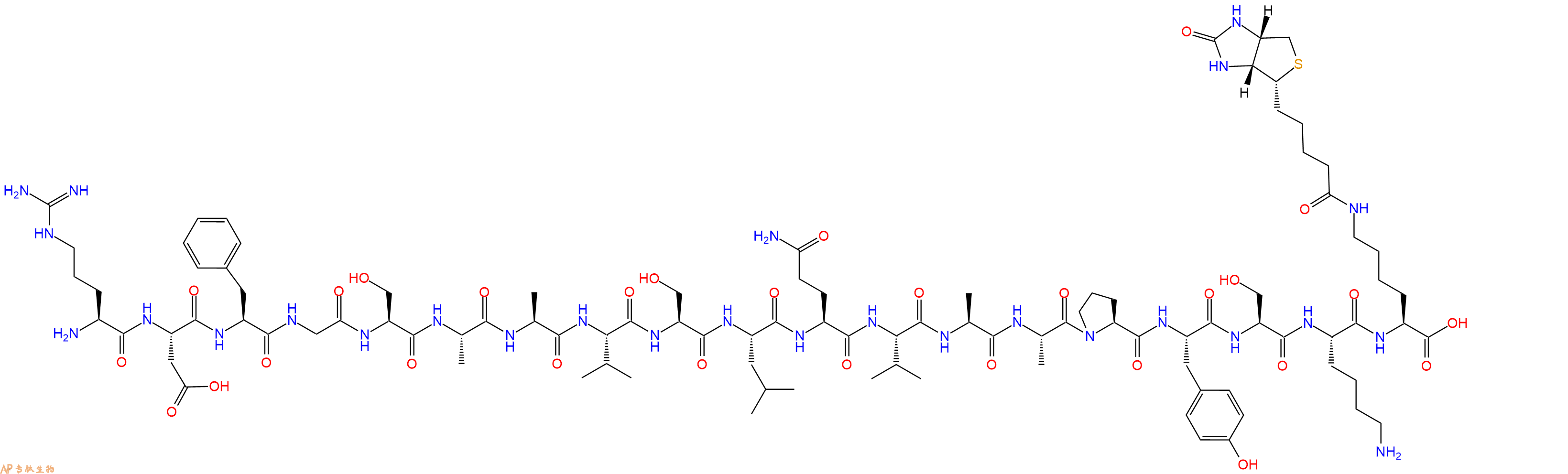 专肽生物产品H2N-Arg-Asp-Phe-Gly-Ser-Ala-Ala-Val-Ser-Leu-Gln-Val-Ala-Ala-Pro-Tyr-Ser-Lys-Lys(Biotin)-OH