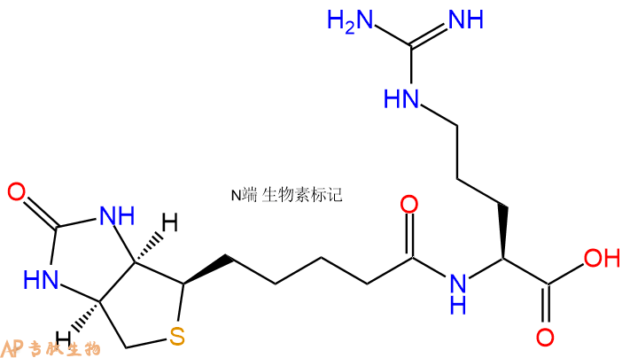 专肽生物产品Biotinyl-Arg-OH