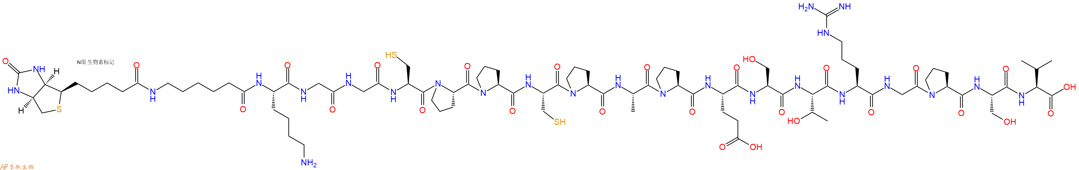 专肽生物产品Biotinyl-Ahx-Lys-Gly-Gly-Cys-Pro-Pro-Cys-Pro-Ala-Pro-Glu-Ser-Thr-Arg-Gly-Pro-Ser-Val-OH