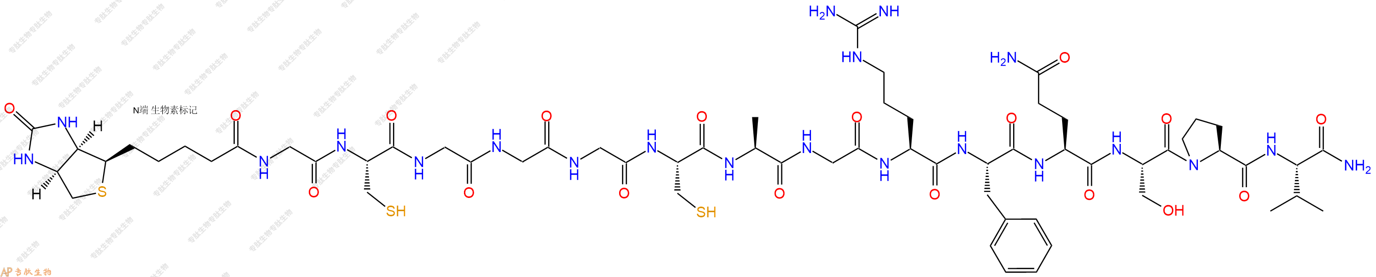 专肽生物产品Biotinyl-Gly-Cys-Gly-Gly-Gly-Cys-Ala-Gly-Arg-Phe-Gln-Ser-Pro-Val-CONH2