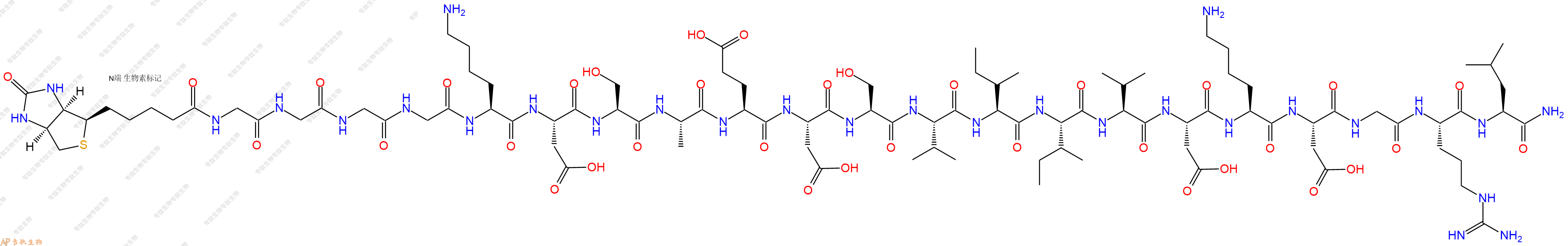 专肽生物产品Biotinyl-Gly-Gly-Gly-Gly-Lys-Asp-Ser-Ala-Glu-Asp-Ser-Val-Ile-Ile-Val-Asp-Lys-Asp-Gly-Arg-Leu-CONH2