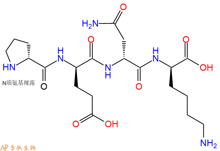 专肽生物产品H2N-DPro-DGlu-DAsn-DLys-OH