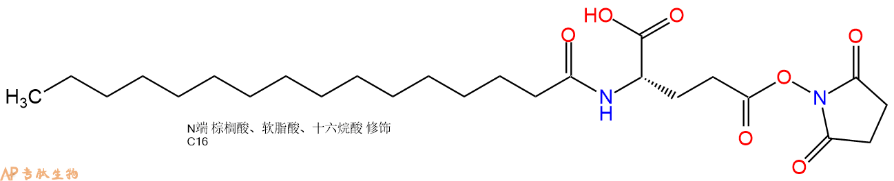 专肽生物产品Pal-Glu(OSU)-OH294855-91-7