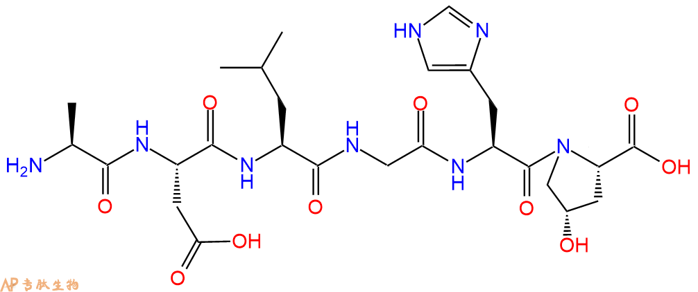 专肽生物产品六肽ADLGH-Hyp