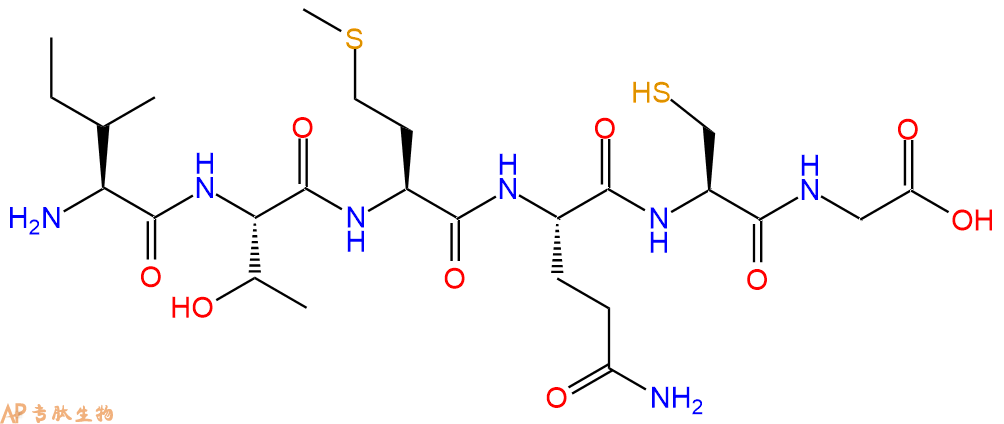 专肽生物产品H2N-Ile-Thr-Met-Gln-Cys-Gly-OH