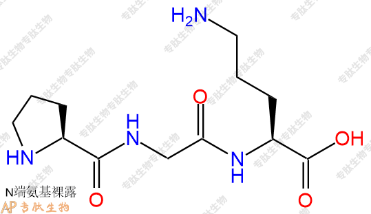 专肽生物产品H2N-Pro-Gly-Orn-OH