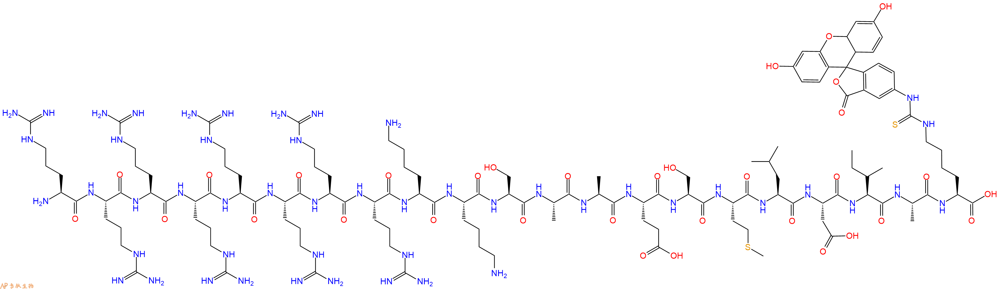 专肽生物产品H2N-Arg-Arg-Arg-Arg-Arg-Arg-Arg-Arg-Lys-Lys-Ser-Ala-Ala-Glu-Ser-Met-Leu-Asp-Ile-Ala-Lys(FITC)-OH