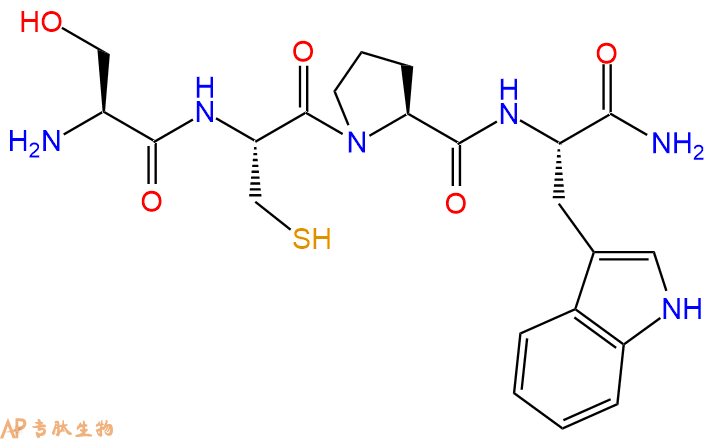 专肽生物产品H2N-Ser-Cys-Pro-Trp-CONH2