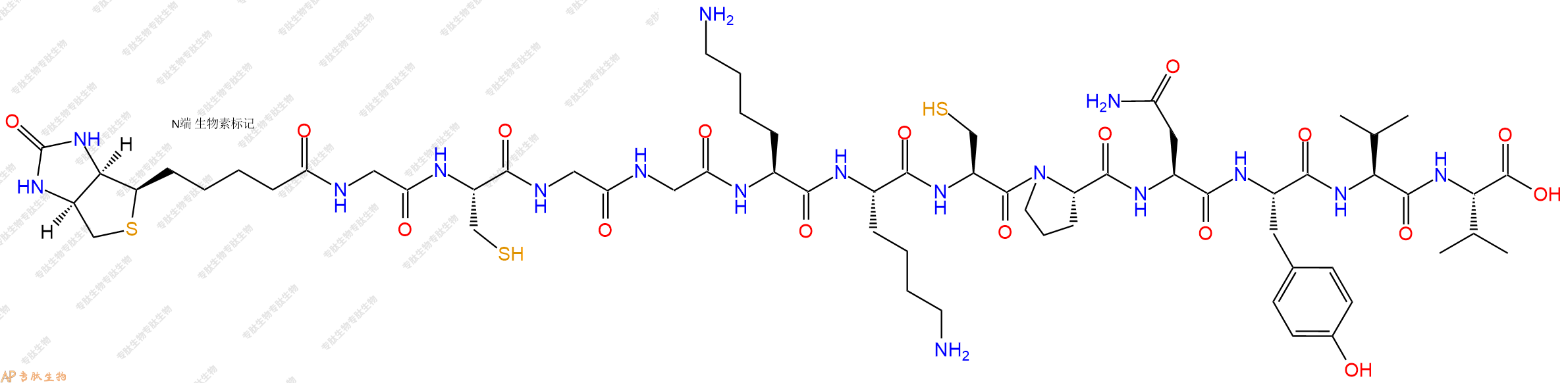 专肽生物产品Biotinyl-Gly-Cys-Gly-Gly-Lys-Lys-Cys-Pro-Asn-Tyr-Val-Val-OH