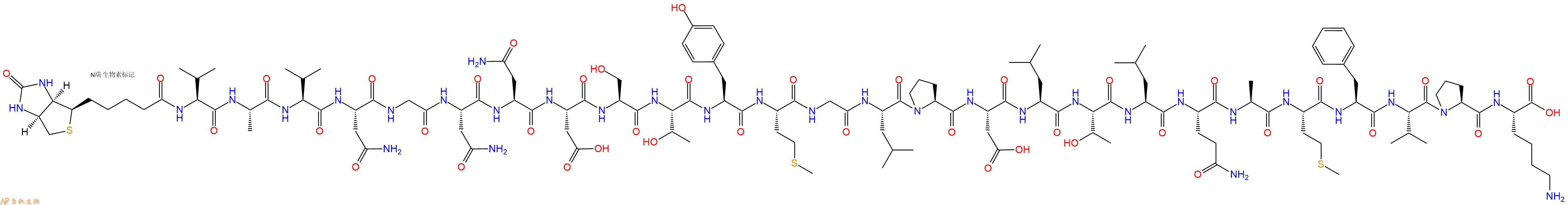 专肽生物产品Biotinyl-Val-Ala-Val-Asn-Gly-Asn-Asn-Asp-Ser-Thr-Tyr-Met-Gly-Leu-Pro-Asp-Leu-Thr-Leu-Gln-Ala-Met-Phe-Val-Pro-Lys-OH
